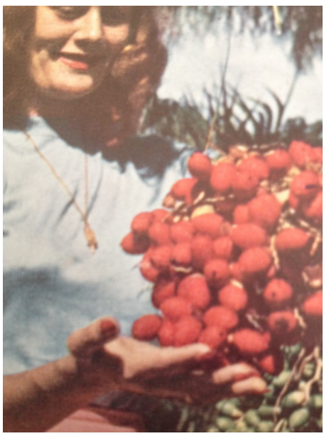 Close ups of vintage National Geographic