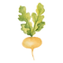 culinary herbalism