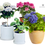 Thumbnail: Hydrangea Flower Colour Enhancers & the MAGIC Kit