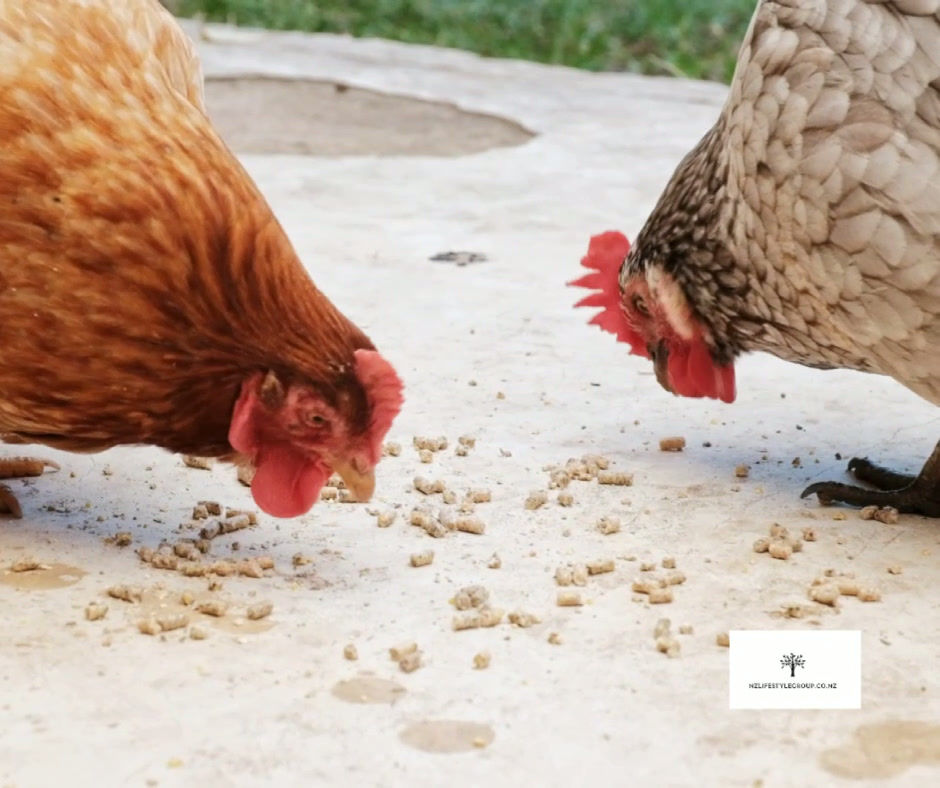 Thumbnail: Meal Time FreeRange All Rounder Multi Pellets