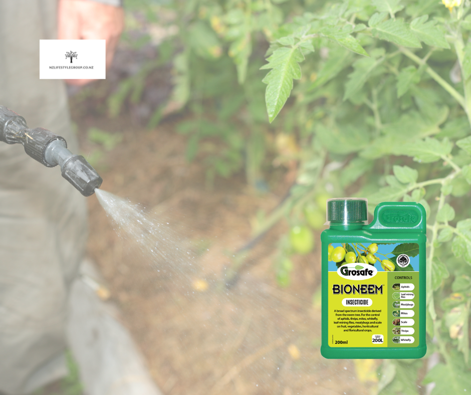 Thumbnail: 'Harvest Hero' Tomato Health Care Kit