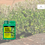 Thumbnail: Boxin' Green Buxus Health Care Kit