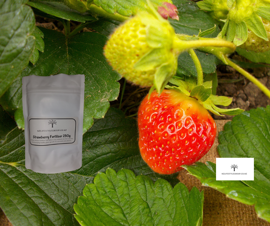 Thumbnail: 'Sweet as' Strawberry Plant Health Kit