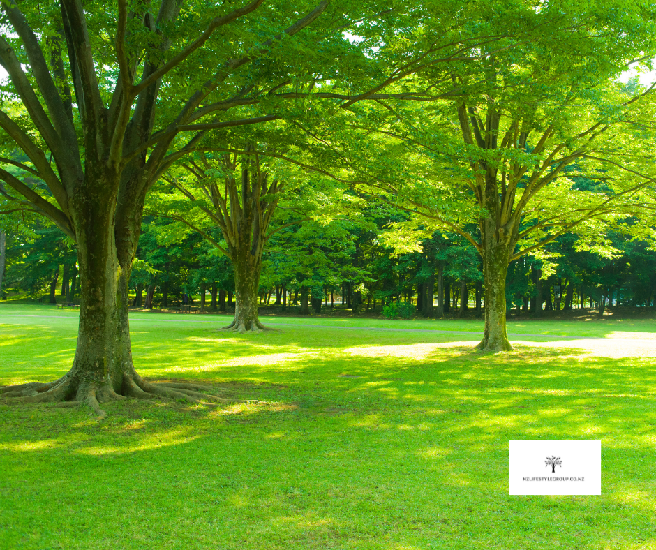 Thumbnail: Tree Fertiliser Tablets