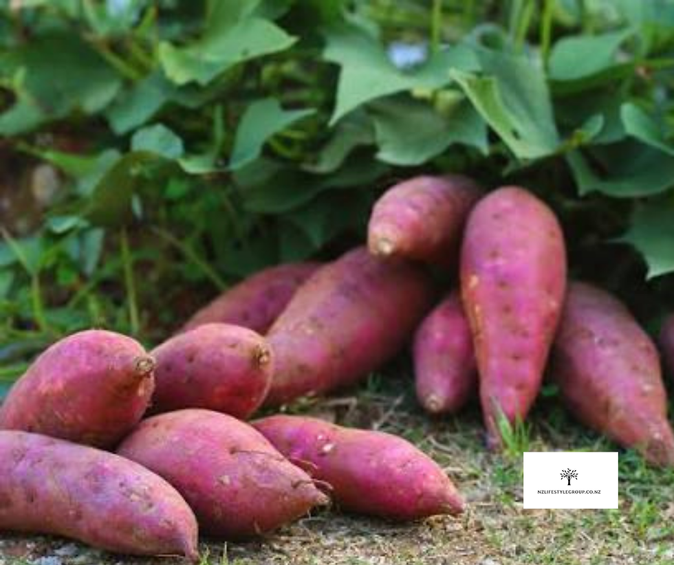 Thumbnail: KUMARAFUEL Kumara Fertiliser