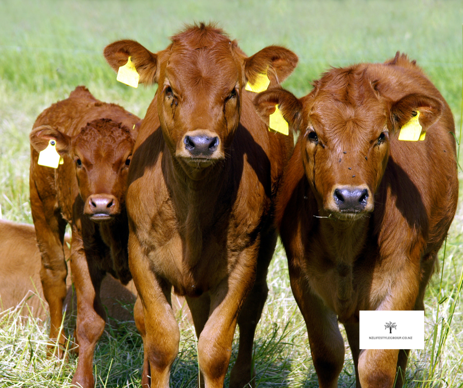 Thumbnail: MEALTIME 'Organic Certified' Calf & Multi Pellets