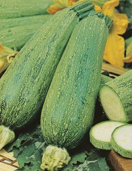 Thumbnail: Vegetable Seeds - Spring Sowing, Summer Harvest (M-Z)