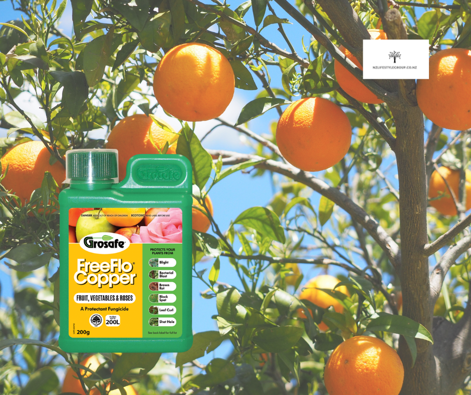 Thumbnail: 'Nourishin' Nice Citrus Tree Health Kit