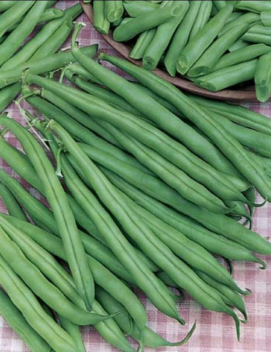 Thumbnail: Vegetable Seeds - Spring Sowing, Summer Harvest A-L