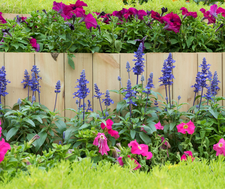 Thumbnail: Flower & Shrub Fertiliser