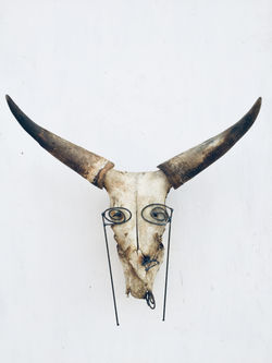 Bones & Rods I