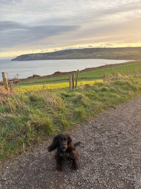 Nala on the Cinder Track