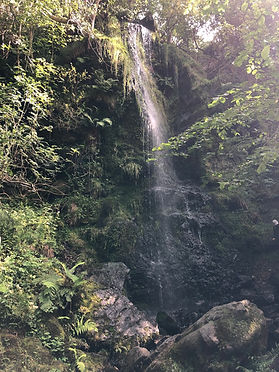 Mallyan Spout Waterfall (1).jpg