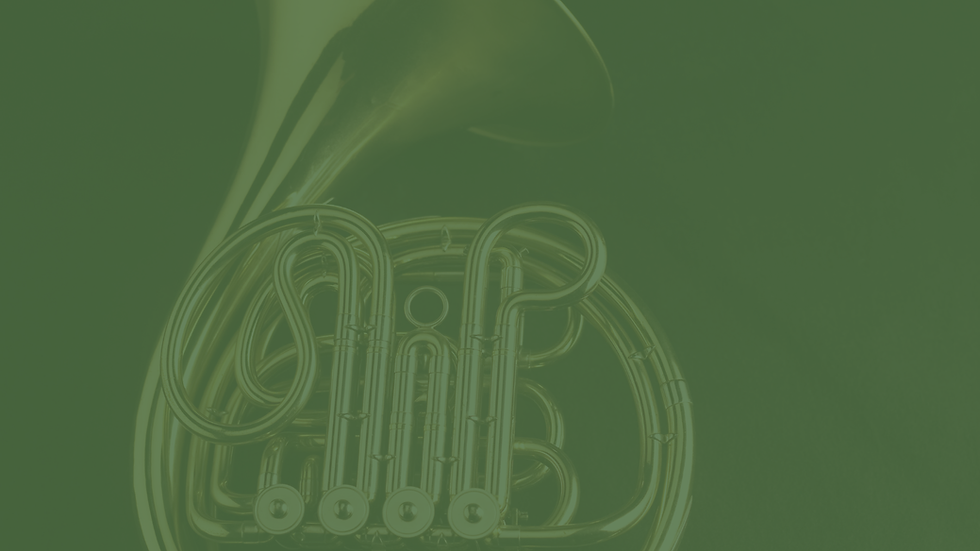 Concert Set 4: French Horn & Strings
