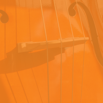 Concert Set 5: Flute, Harp & Strings