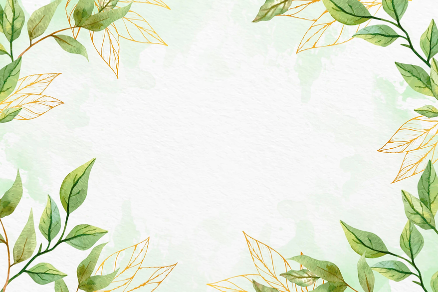 12.webp