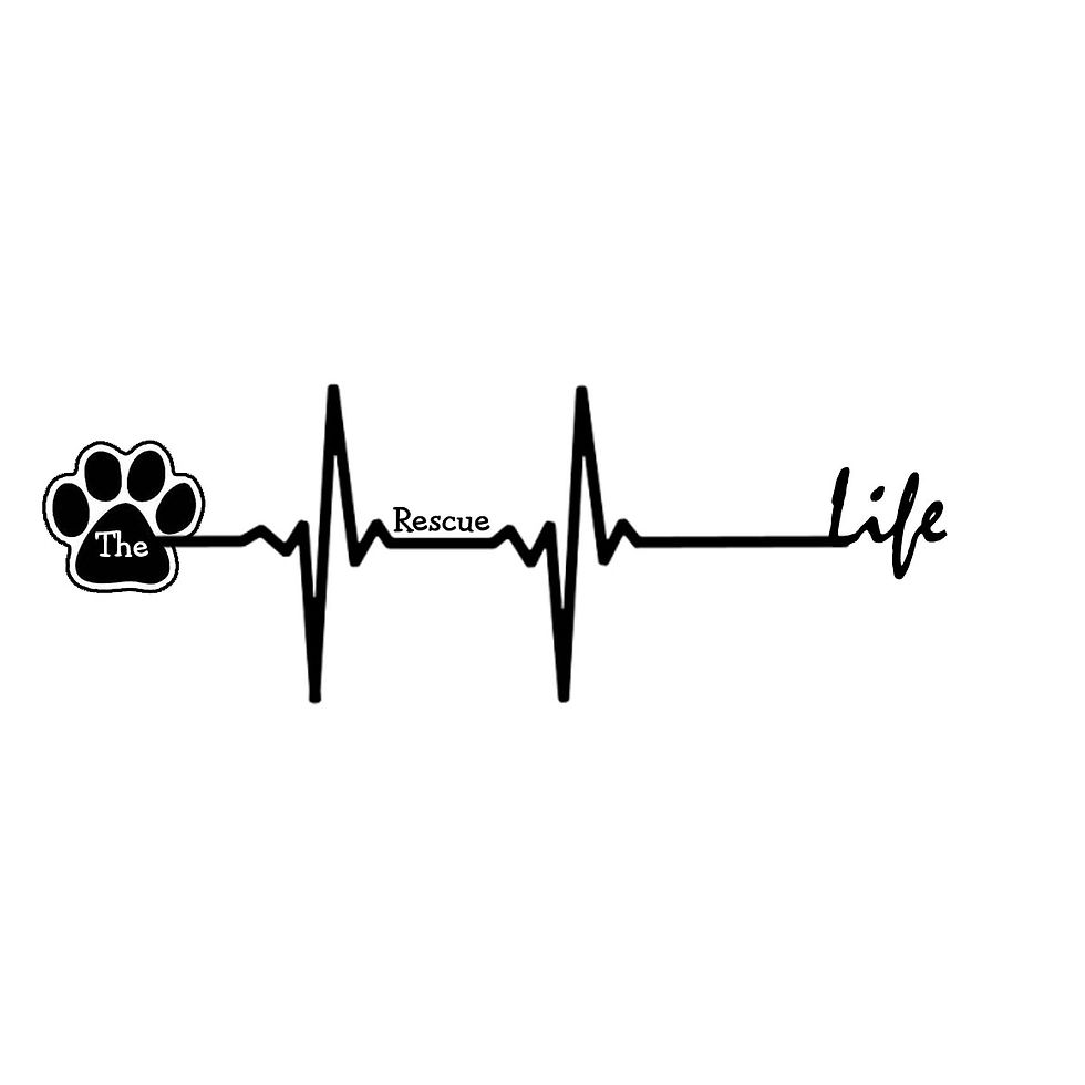 TheRescueLifeGraphic4