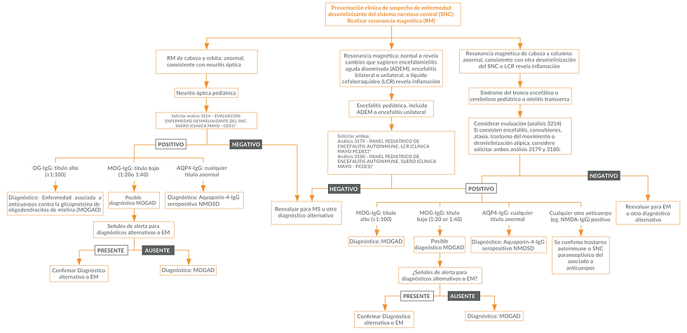 *Gráfico modificado de: Mayo Clinic Laboratories. Mayo Foundation for Medical Education and Research