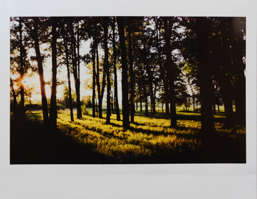 Glade