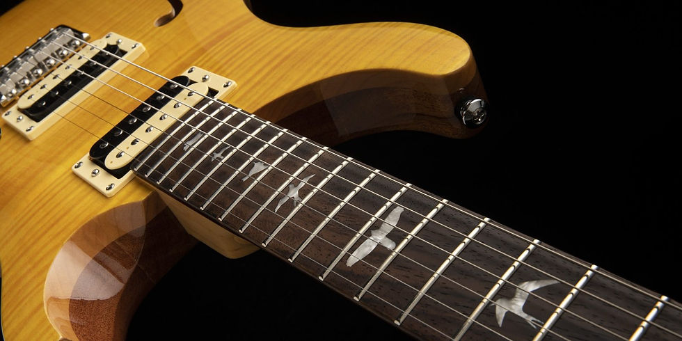 Thumbnail: PRS SE CUSTOM 22 SEMI HOLLOW