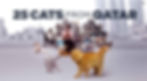 25CatsFromQatar_KeyArt_28_Horiz_LO RES.jpg
