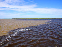 Rio Negro e Solimões: o encontro das águas que não se misturam