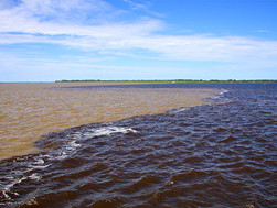 Rio Negro e Solimões: o encontro das águas que não se misturam