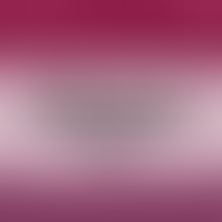 Missão Nacional leva líderes mineiros às melhores escolas de Brasília