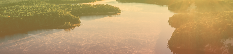 amazonia banner.png