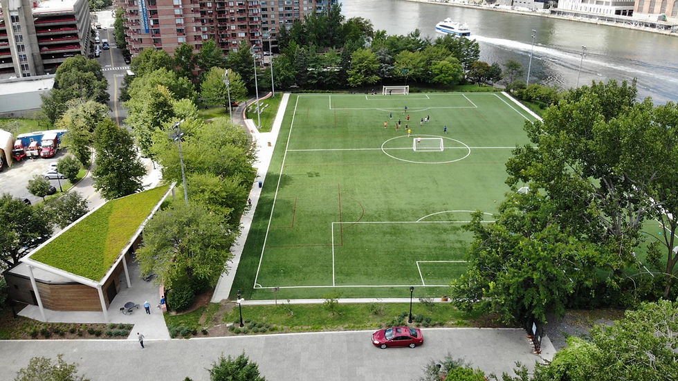 Octagon Sports Field