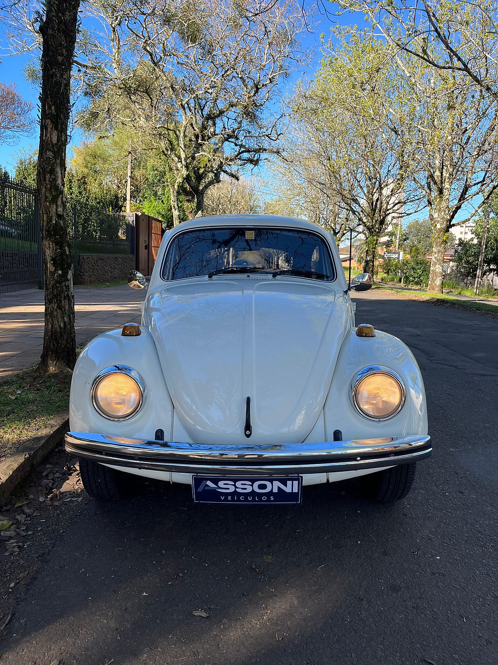 Miniatura: VOLKSWAGEN FUSCA 1600 DUPLO CARBURADOR 1985