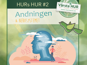 Andningen