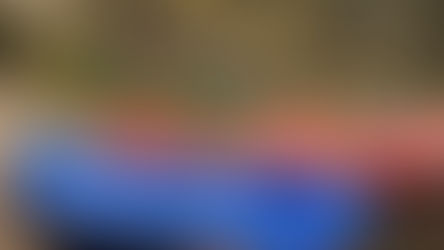 Commercial Interests