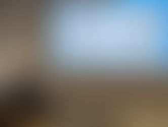 Attending and Presenting at a Conference