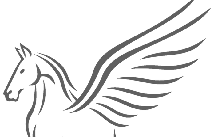 Pega schnitt grau_edited_edited_edited.p