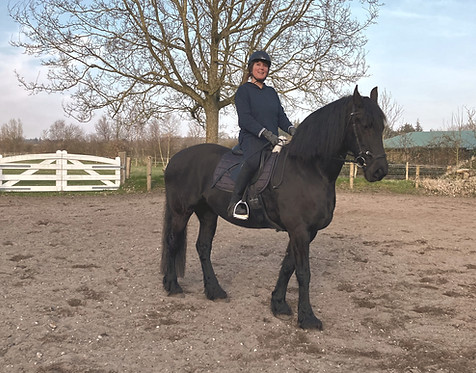 Angelika Heppner-Schmid auf Friesenstute