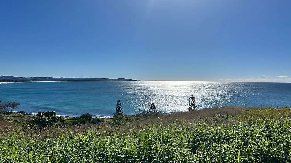 electrician-byron-bay-background-viva