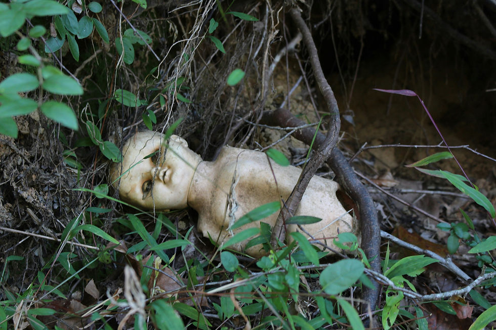 Hike the Doll's Head Trail for a spooky good time around Halloween.