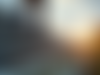 Expert Home Repairs and Maintenance in Port Charlotte