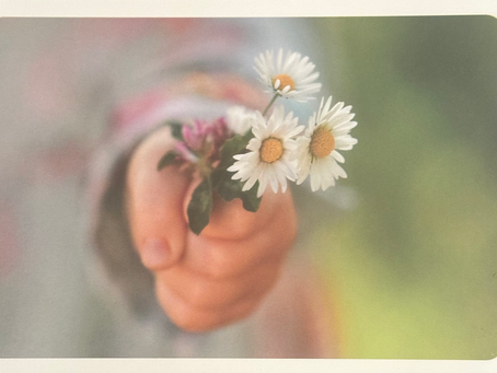 Blumenstrauss voller Regulierungsmöglichkeiten