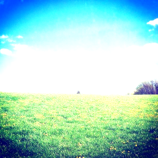 _edited