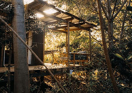 Forest_Hut2_phakalane_retreat_hout_bay_Cape_Town.jpg