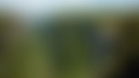 Além de Gramado: 5 Roteiros para ir de Transfer Particular