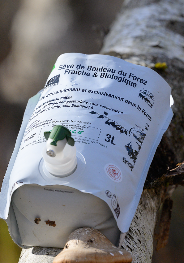 SEVE DE BOULEAU BIO FRAICHE & ARTISANALE 3 litres