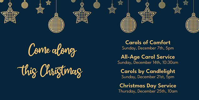 Website Banner Christmas 2025.png