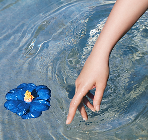 Slider 169 (1448 × 958 px)-6.png