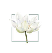 9.png