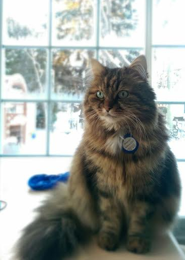 La Minette