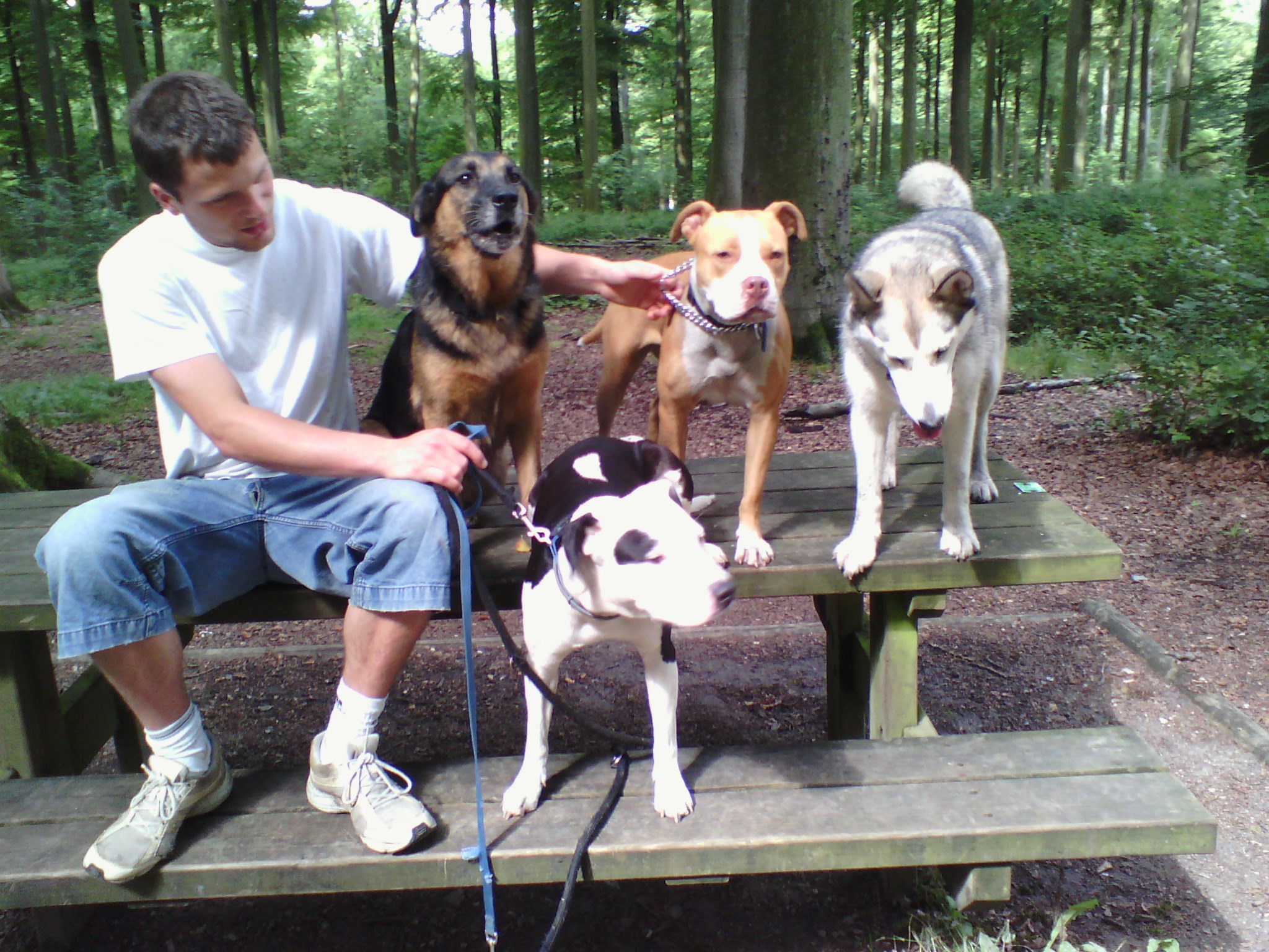 Lilou, Vinga, Akyla & Laika
