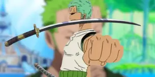 Why does Zoro always get lost?